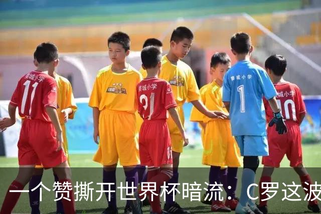 一个赞撕开世界杯暗流：C罗这波操作，连鲁尼都看不下去了
